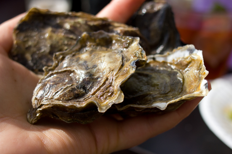 oysterfest-2014-9