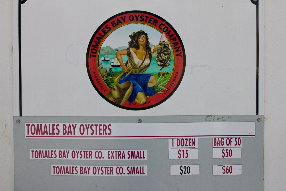 oysterfest-2106-1